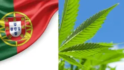 Descriminalização em Portugal: o que mudou em 25 anos?