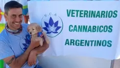 Cannabis na Argentina: veterinário aposta em novos caminhos
