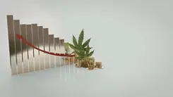 Legalización de la marihuana recibe un 80% de apoyo en las primarias demócratas de Texas