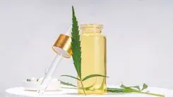 Las acciones de cannabis enfrentan inestabilidad global en 2025 y cierran en baja