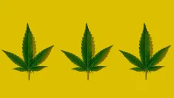 Depressão: o que a cannabis tem a ver com o Setembro Amarelo