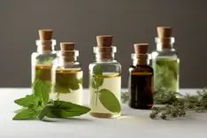 Terpenos en el cannabis: conoce 8 aromas y efectos medicinales detrás de las flores